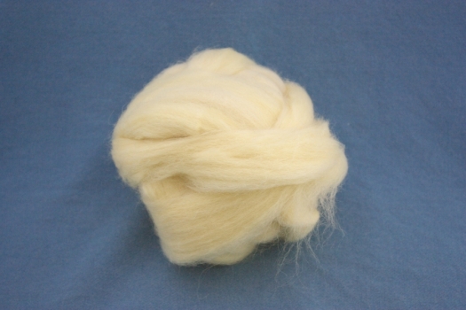 Texel sheep wool