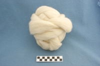 Coburg Fox sheep wool, top